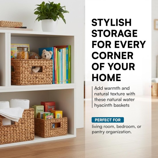 Honey-Can-Do Banana Leaf Storage Baskets –Water Hyacinth Woven Basket, Decorative Baskets for Shelves, Basket for Gifts, Closet, Pantry, and Home Organization, Set of 3, Multi-Size