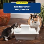 PetSafe Drinkwell Fountain Cleaning Kit - Deep Bowl Cleaning for Hard-to-Reach Areas of Compatible Cat Fountains - Removes Hidden Residue & Maintains Pump Performance