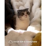 Ultra Soft Cozy Faux Fur Throw Blanket, Fuzzy Plush Thick Bubble Blanket, Luxury Fluffy Blanket for Couch, Sofa, Bedroom, and Living Room, 50x60 Inches, Cream White Ultra Soft Cozy Faux Fur Throw Blanket, Fuzzy Plush Thick Bubble Blanket, Luxury Fluffy Blanket for Couch, Sofa, Bedroom, and Living Room, 50x60 Inches, Cream White