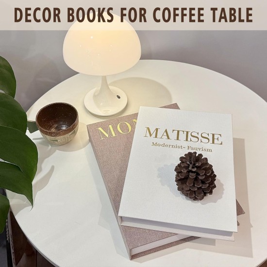 Decorative Books, Coffee Table Decor with Linen Coffee Table White Books Stack Bookshelf Home Decor, Fake Book Double as Libros Decorativos and Photo Storage